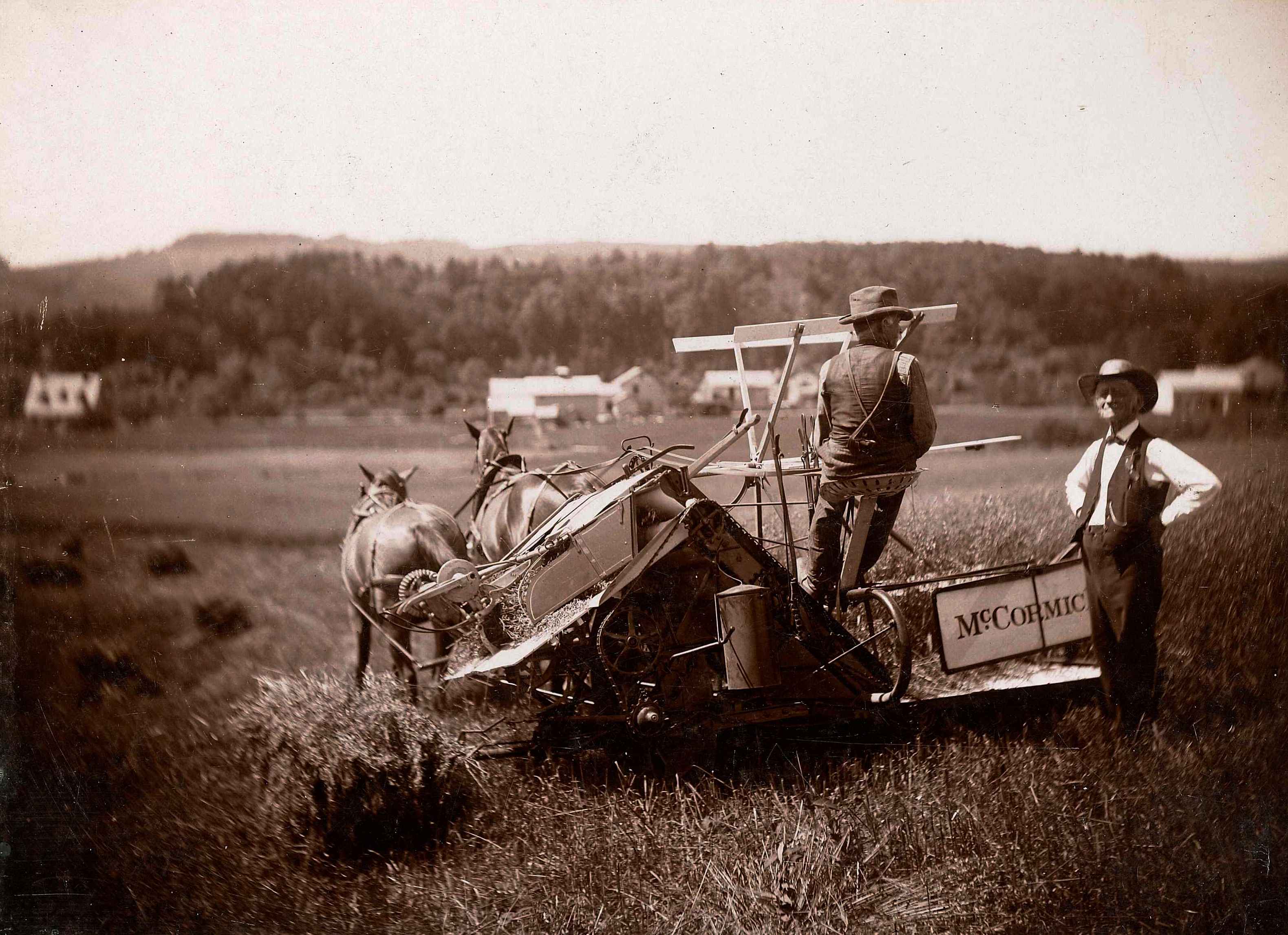 Two men standing next to a donkey in a field.