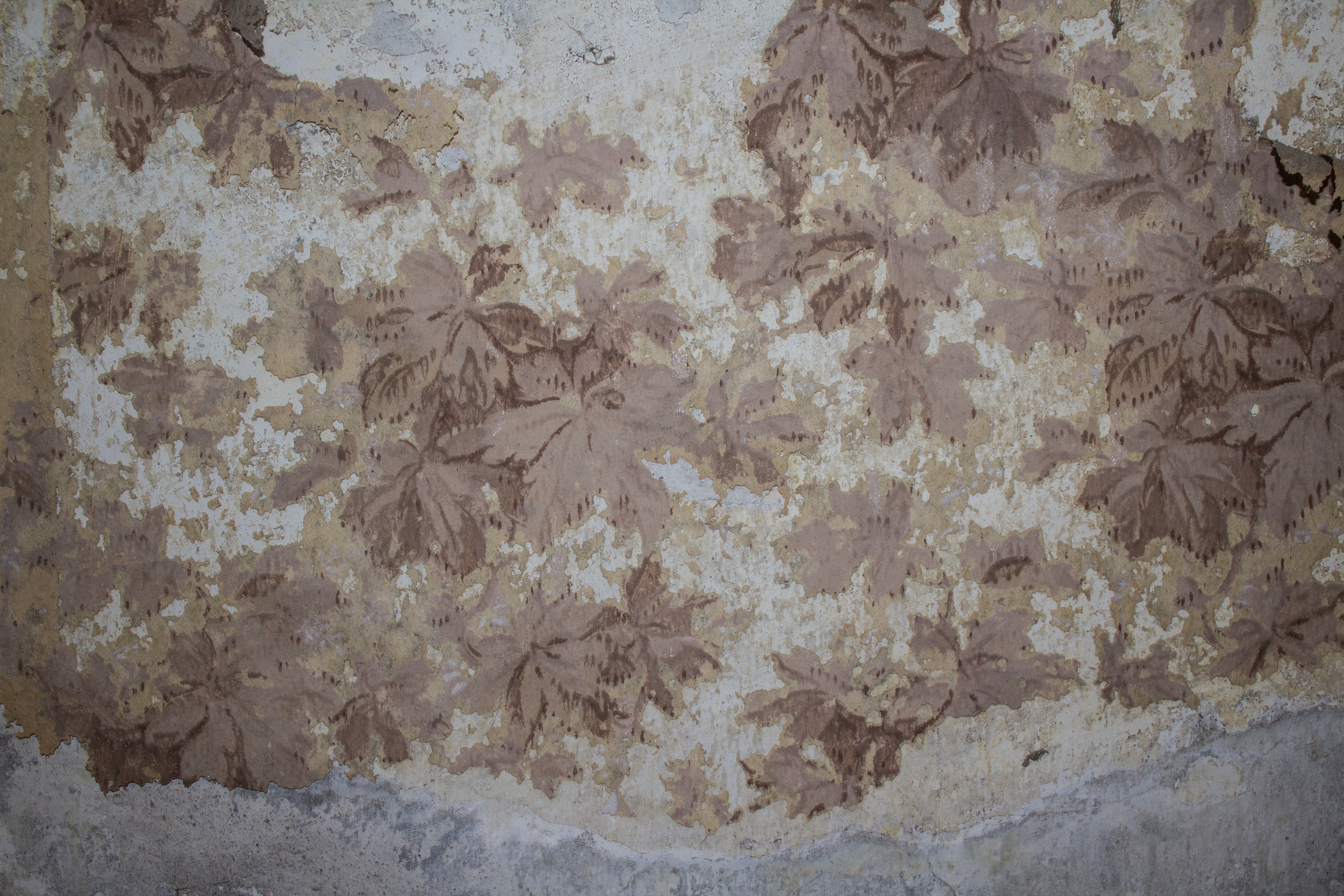 A wall with a pattern of leaves on it.